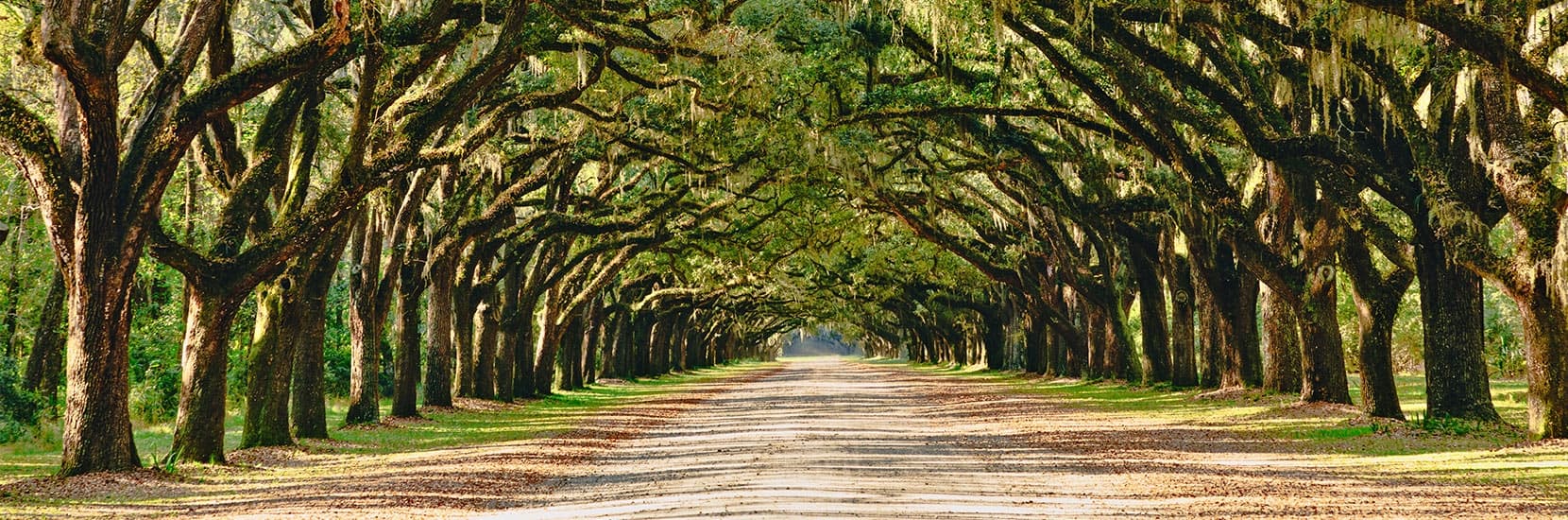 Georgia Hero Background Image