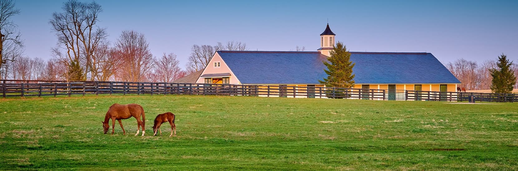 Kentucky Hero Background Image