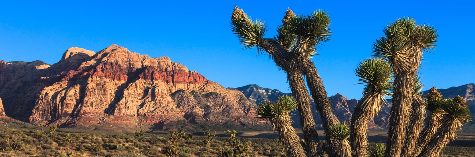 Nevada Hero Background Image