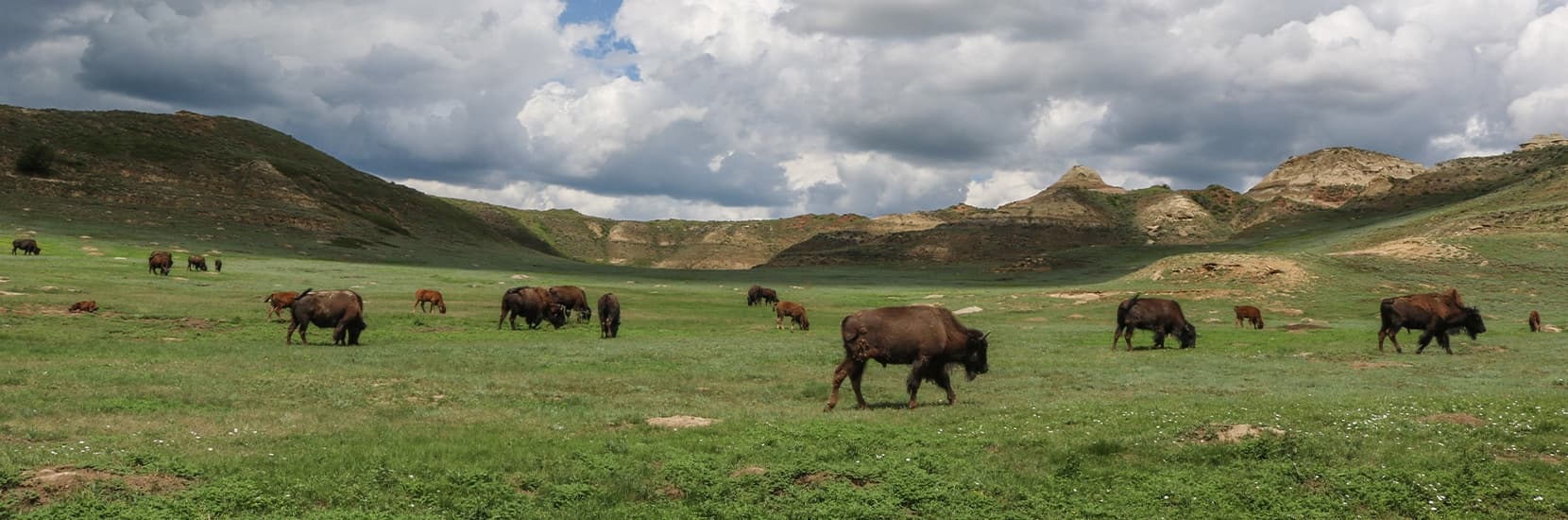 North Dakota Hero Background Image