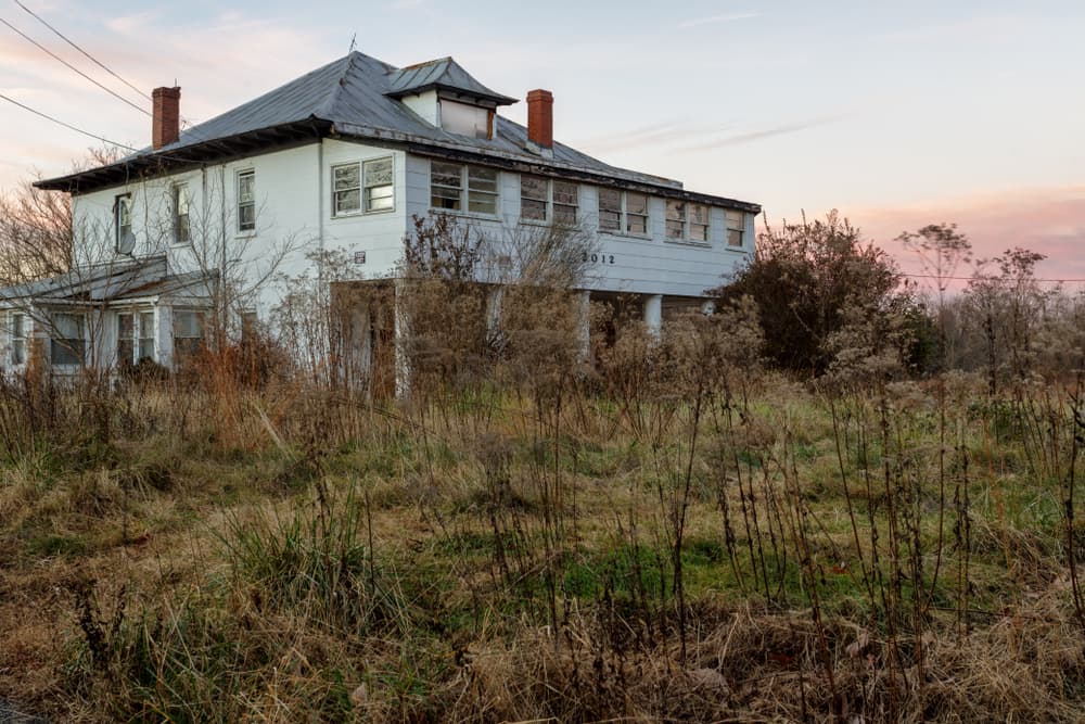 shutterstock_1308682882