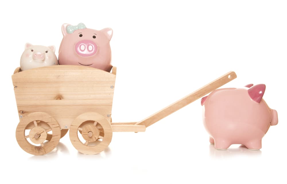 shutterstock_232963012