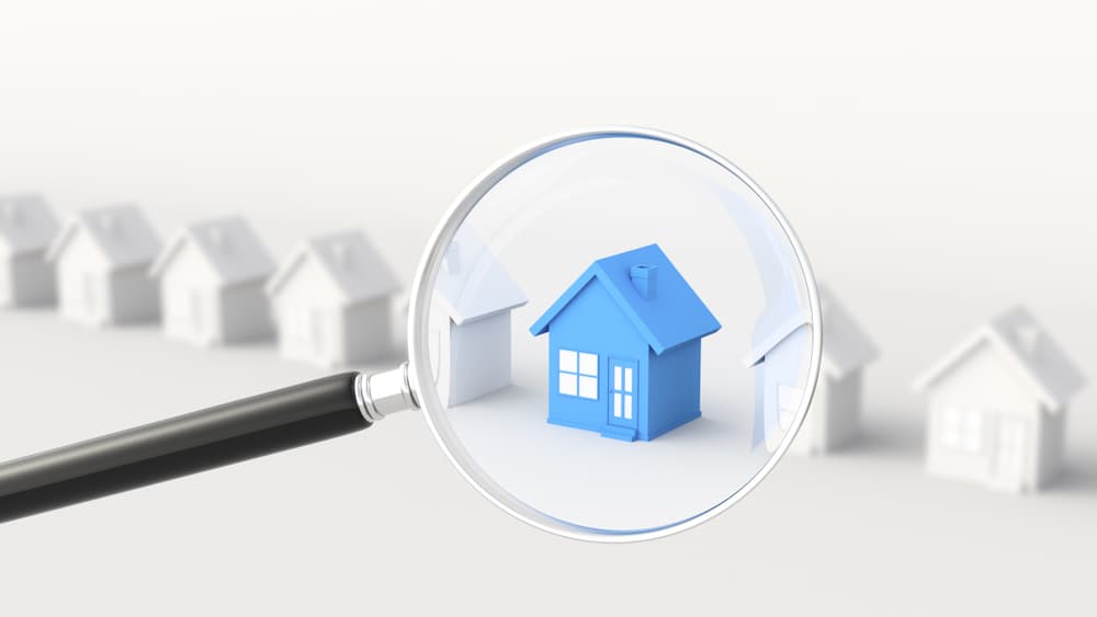 shutterstock_1275717313