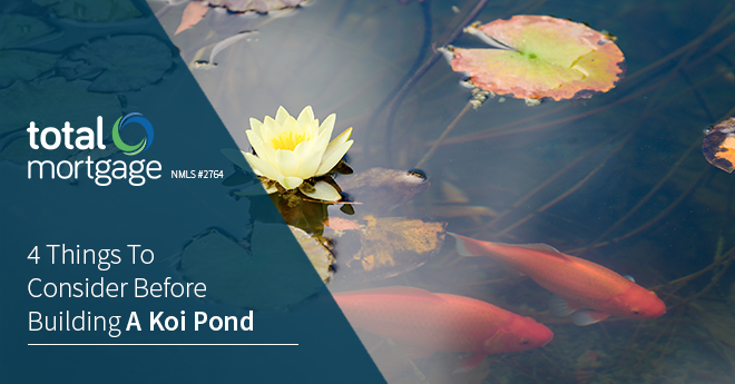 4 things to consider when building a koi pond