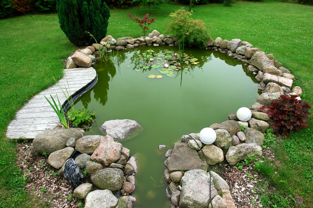 4 Things To Consider Before Building A Koi Pond Total Mortgage Blog