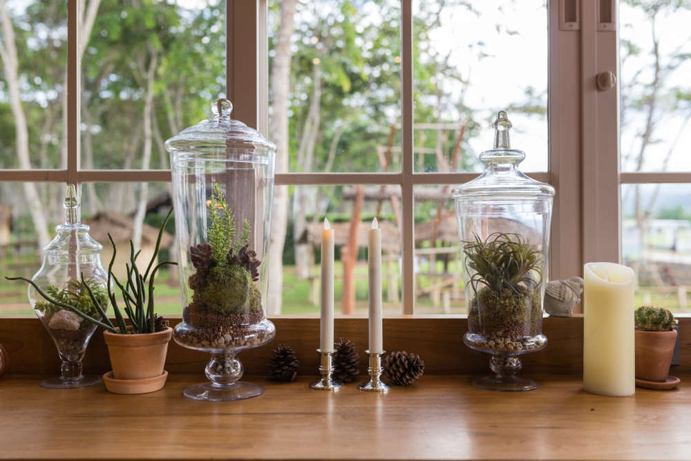 Bring The Outdoors In With These Tips Total Mortgage Blog